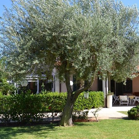 פונטנה ביאנקה Villa Paola מראה חיצוני תמונה